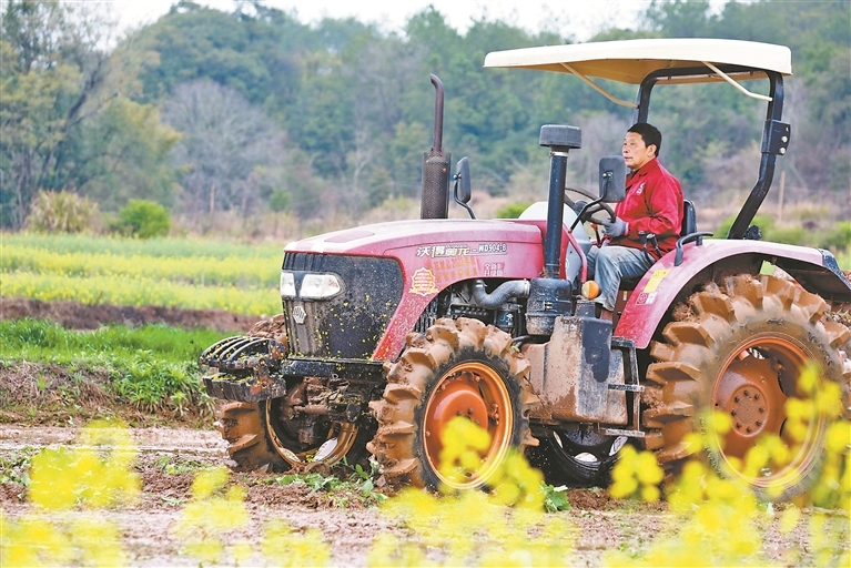 不负好春光（图）