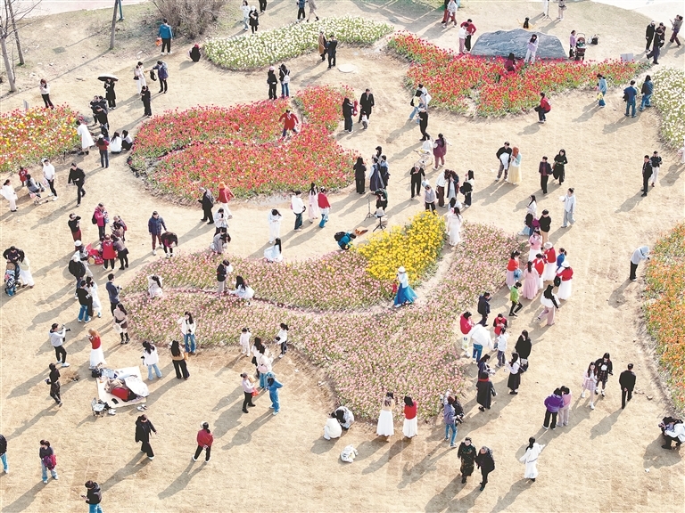 3月10日,市民和游客在新建区马兰圩湿地公园赏花游玩。江西日报全媒体记者 洪子波摄