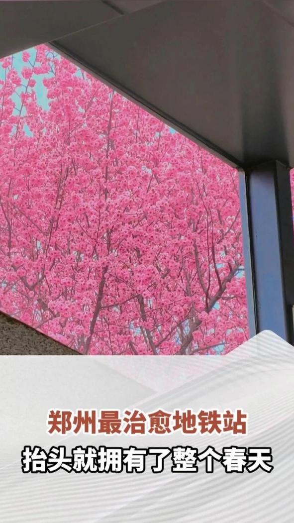 郑州最治愈地铁站，抬头就拥有了整个春天（顶端新闻记者 李思翰 剪辑 任晓波 实习生 郭家瑞）#河南dou知道