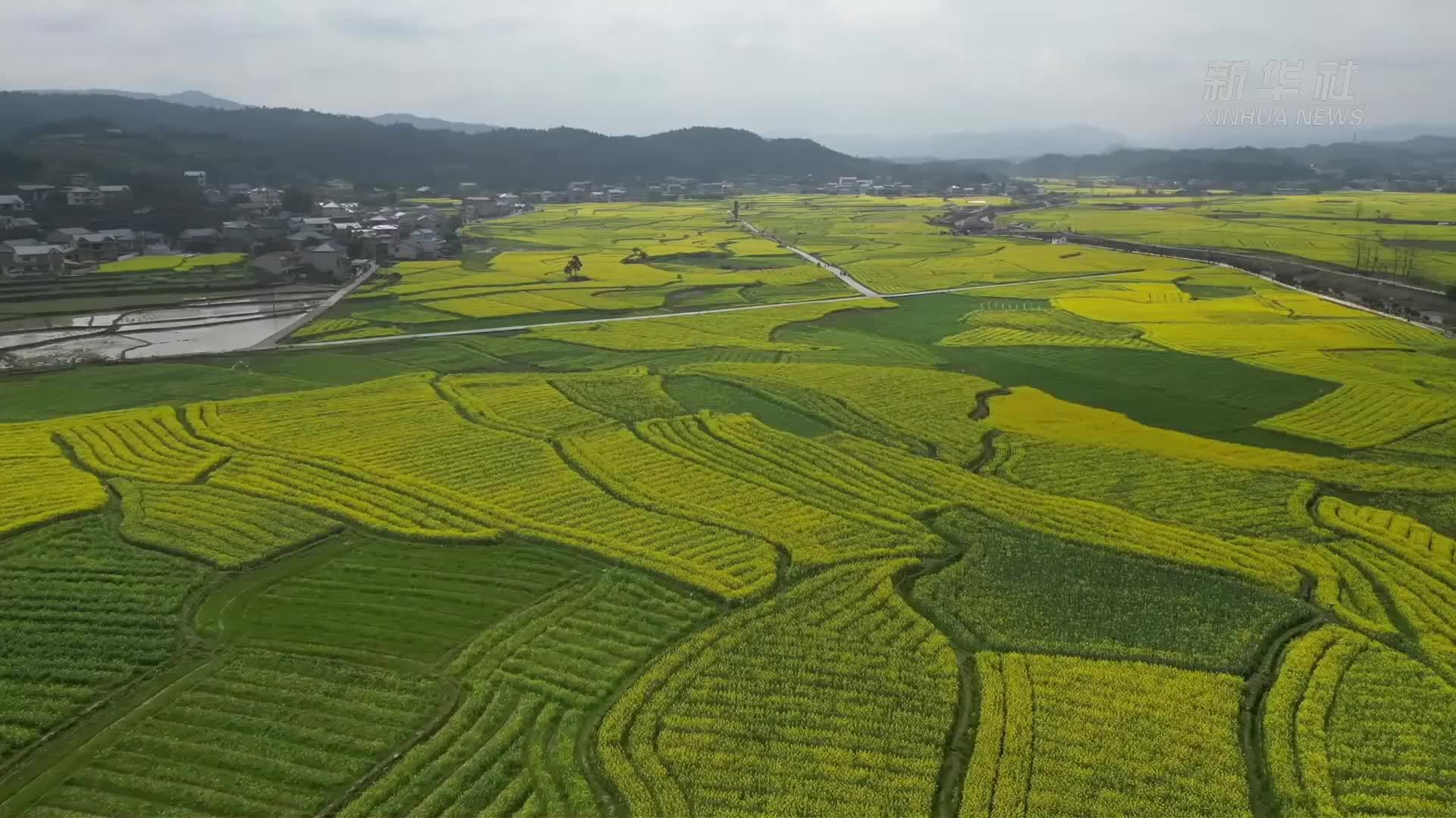 湖南会同：“一朵花”激活文旅消费