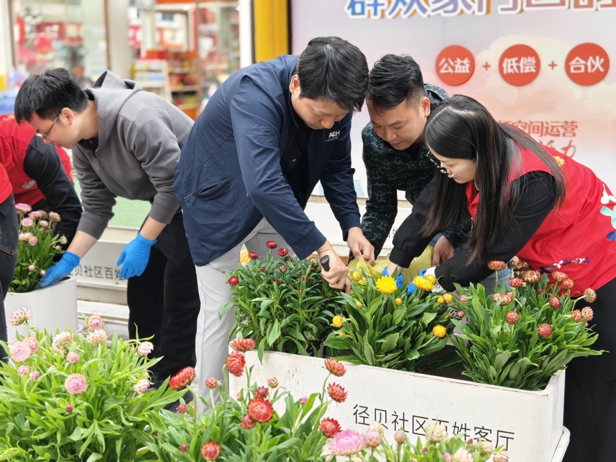 植绿添彩映初心——西乡街道径贝社区开展“爱绿植绿护绿兴绿”主题党日活动