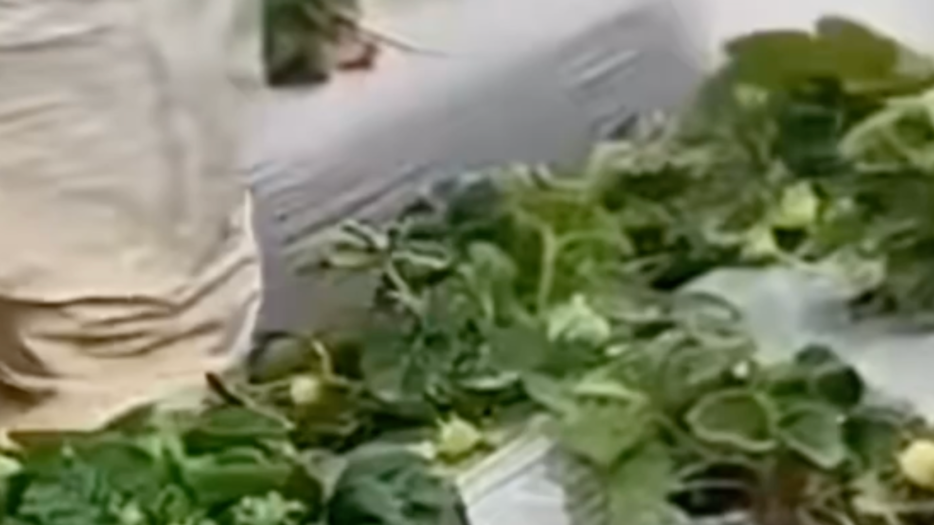 冻干草莓检出有毒重金属镉超标，国家禁用农药“克百威”残留，采购企业将供货商举报至监管部门，却被告知“国标没有冻干草莓镉限量标淮，不符合立案条件”