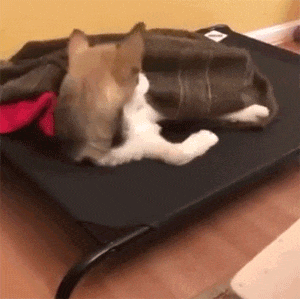 （来源：soogif）