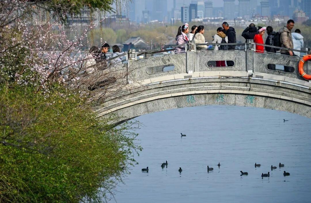 组图摄影:邵凯 2026年2月拍摄