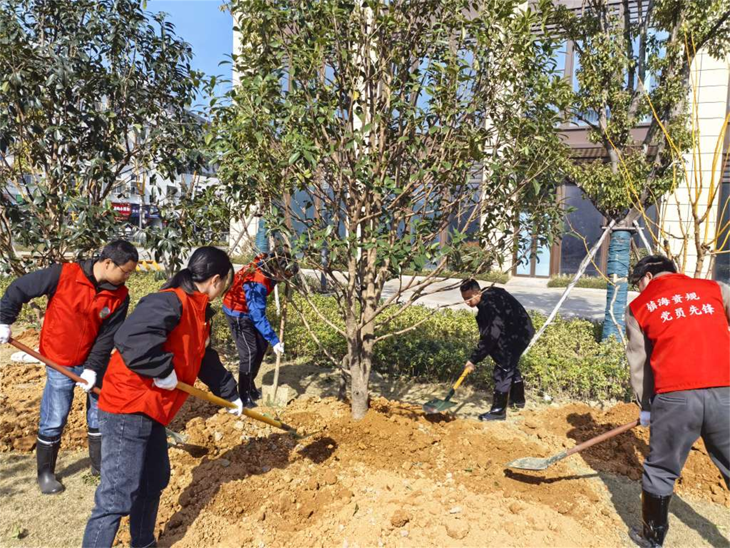 “植”此青绿， 镇海以科技赋能绿色生态