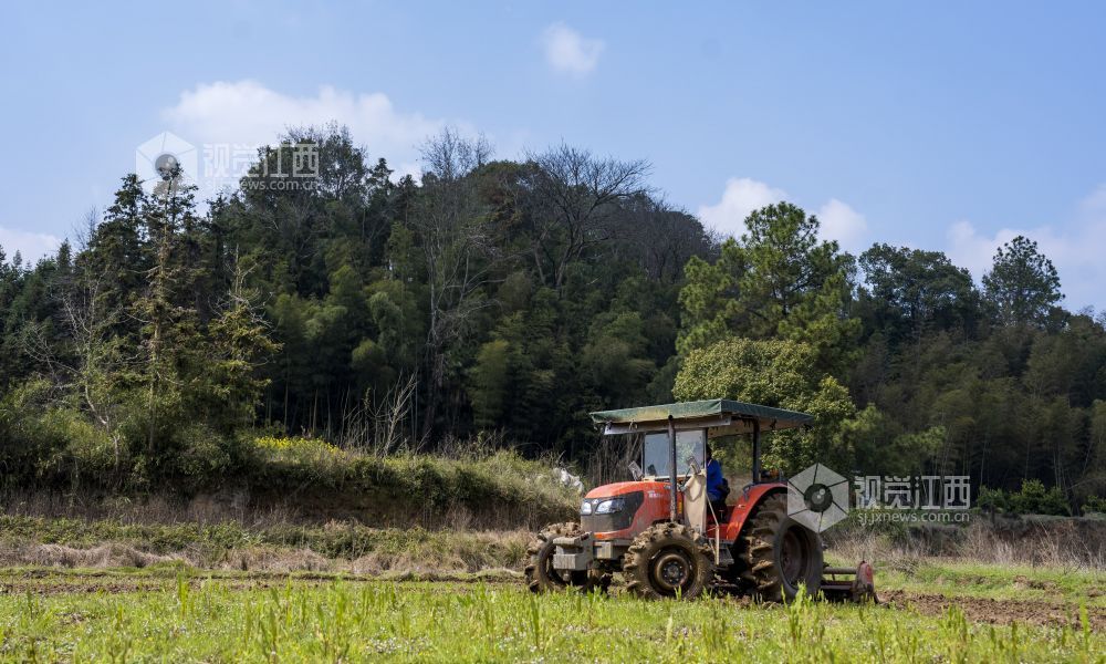 江西分宜：抢抓农时忙春耕（图）