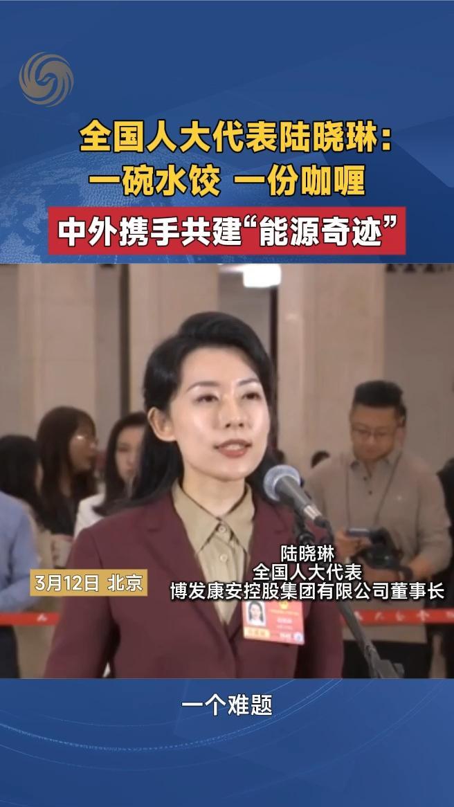 全国人大代表陆晓琳：一碗水饺，中外携手共建“能源奇迹”