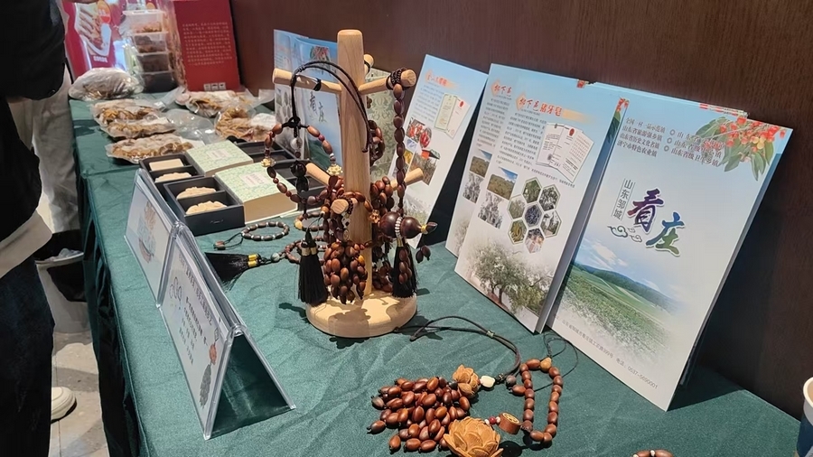 邹城市看庄镇：深耕皂角特色产业 以“特”兴农让群众端稳致富碗