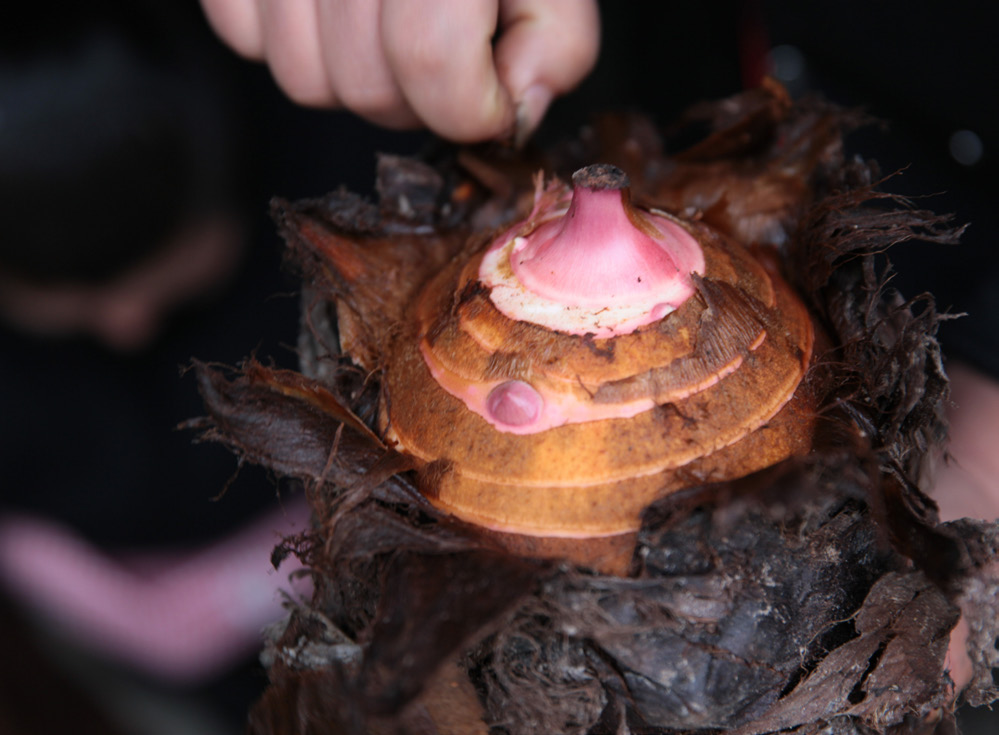 誰能拒絕奉化這“三寶”？