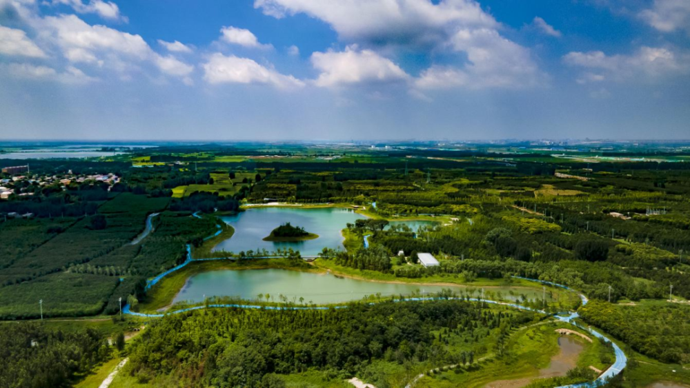 (图为“千年秀林”航拍图。雄安新区宣传网信局供图)