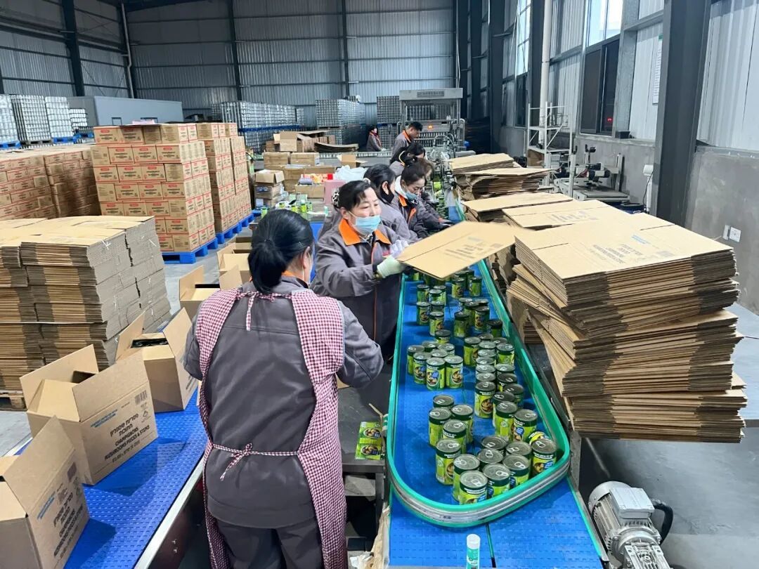 解锁邳州“菇”事，特色产业如何激活乡村动能？