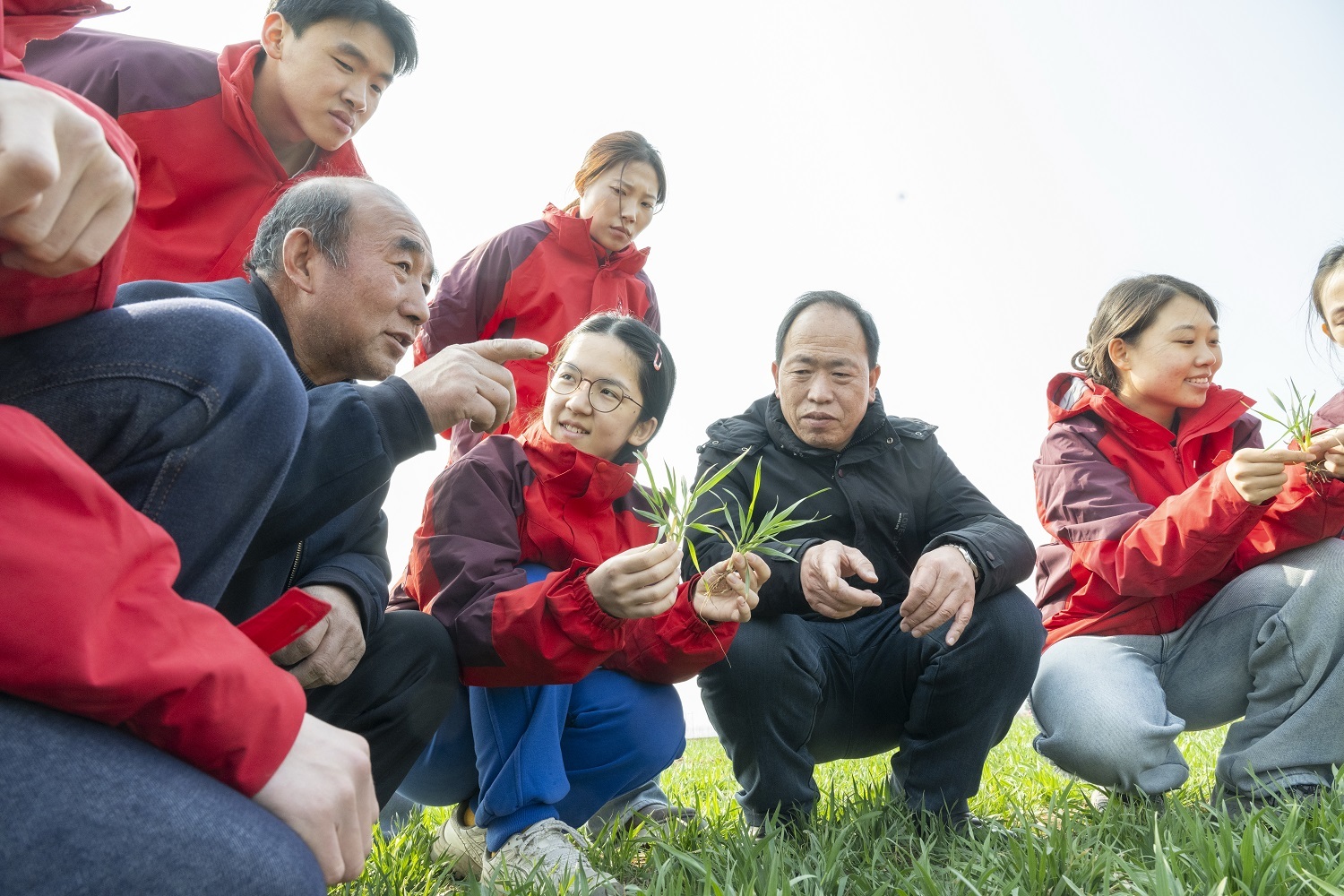 中国农业大学曲周科技小院：科技小院助春耕