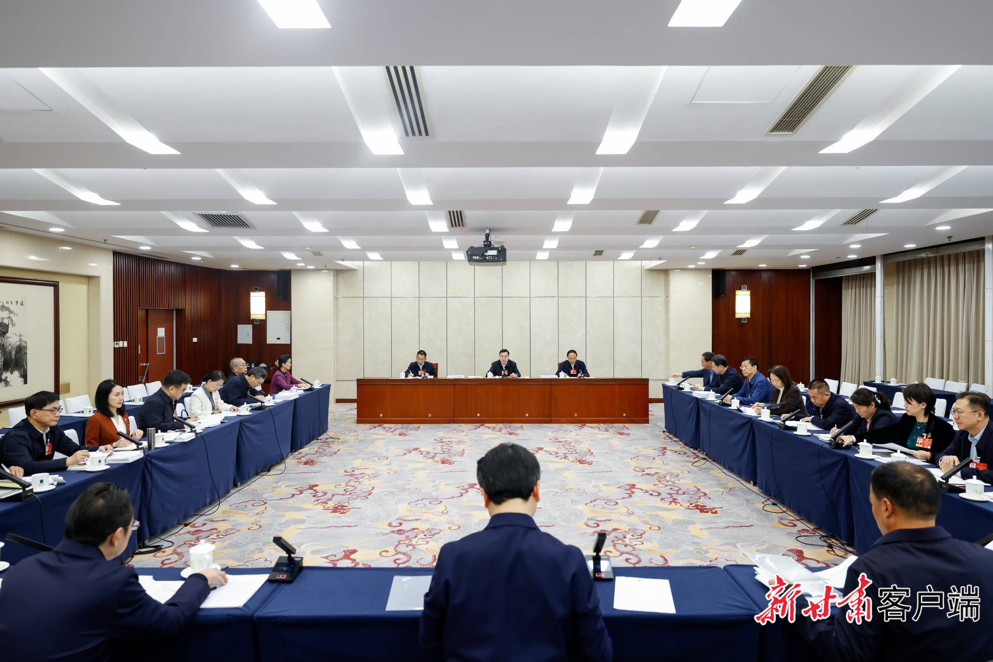 3月7日下午，十四届全国人大四次会议甘肃代表团在驻地举行小组会议，审查计划报告和草案、预算报告和草案。新甘肃&middot;甘肃日报记者　孟捷