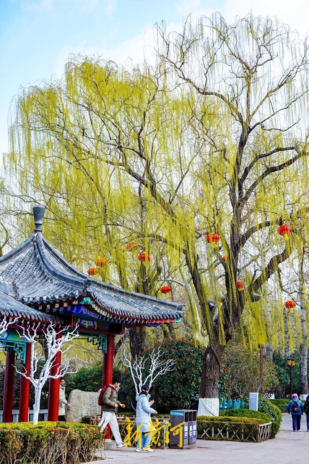 一年四季 泉在济南丨大明湖柳绿天蓝春意浓，汉服少女打卡定格春日美景