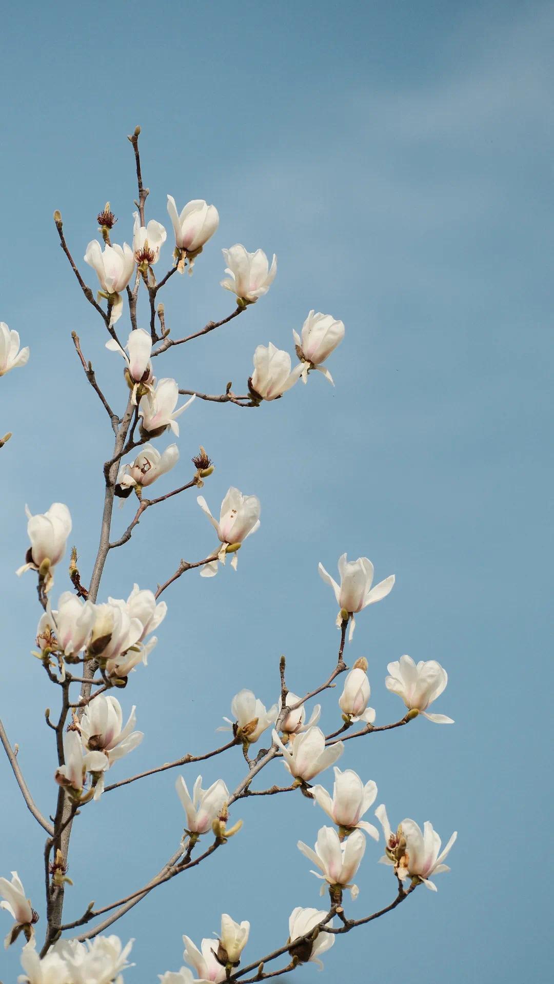 2026-03-03 153311.jpg