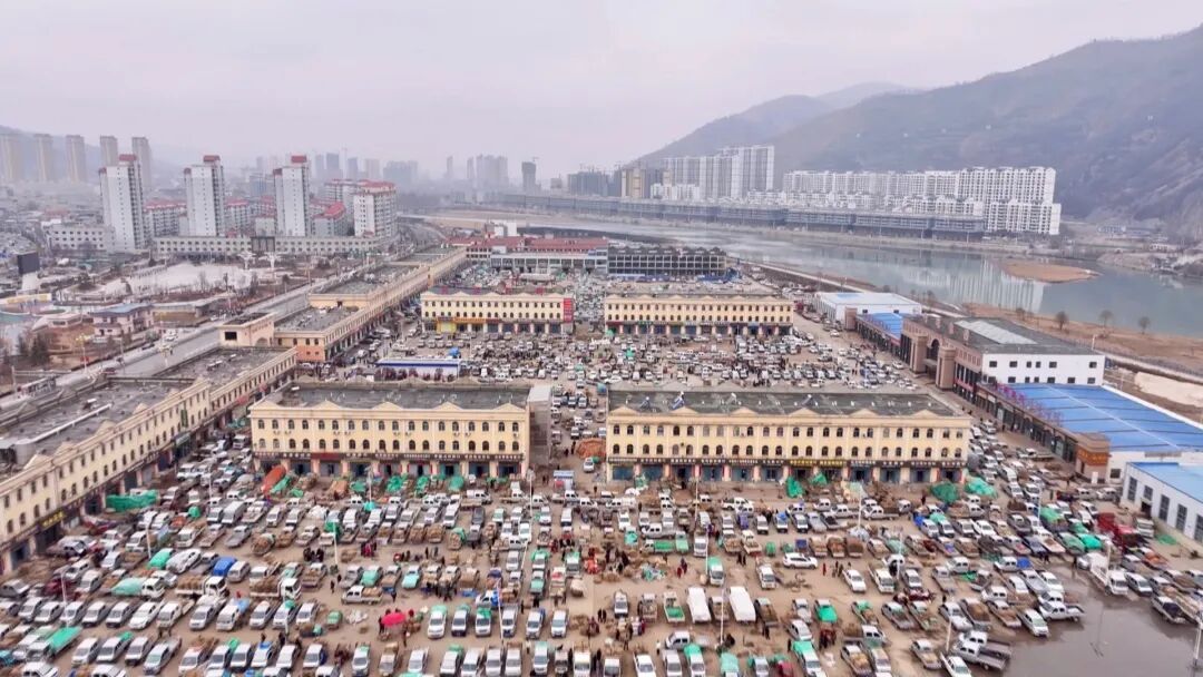 岷县当归城城种苗交易繁荣景象（岷县融媒体中心供图）