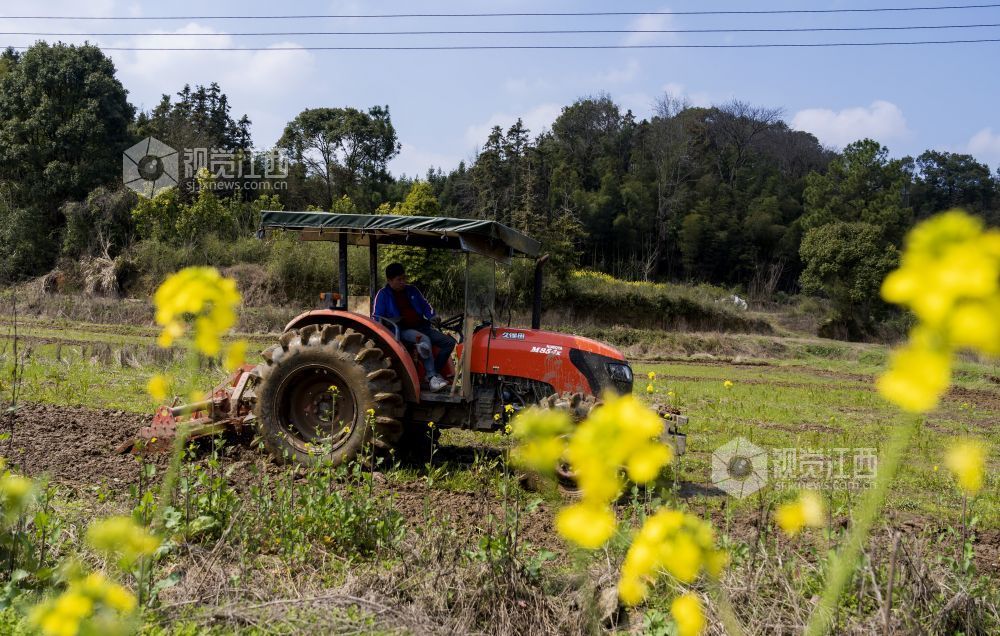江西分宜：抢抓农时忙春耕（图）