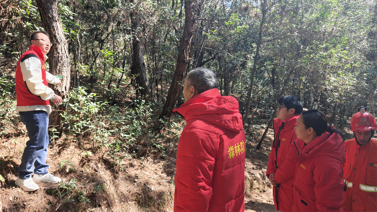 “植”此青绿， 镇海以科技赋能绿色生态