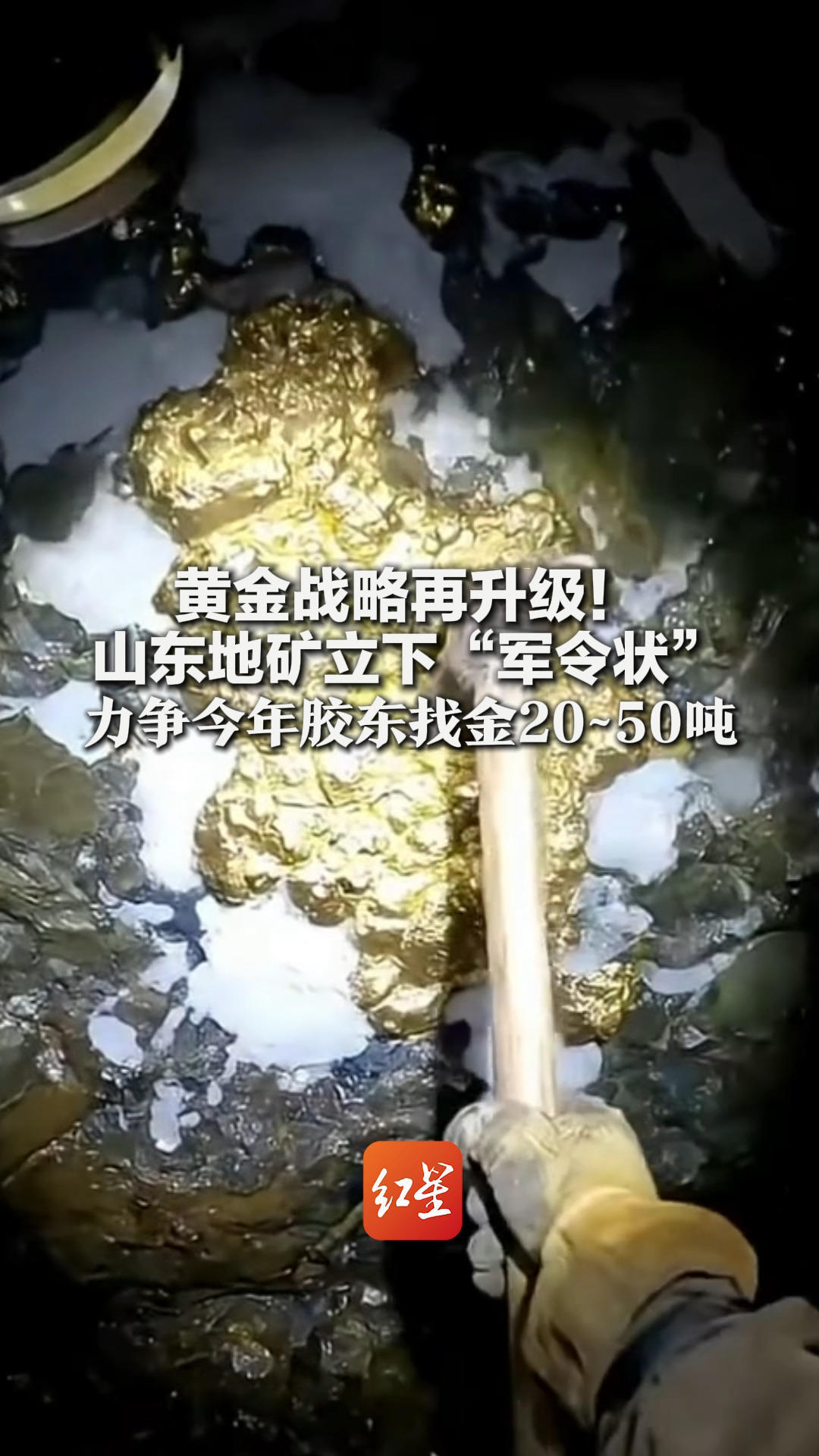 黄金战略再升级！山东地矿立下“军令状” 力争今年胶东找金20~50吨 挖掘2700米矿层，寻3000米深处金矿