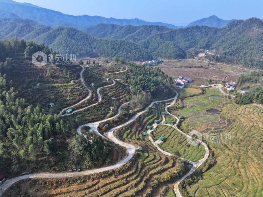 江西芦溪：发展蛋鸡养殖 助力乡村振兴（图）