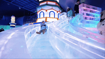 2月23日 (1)(2).gif