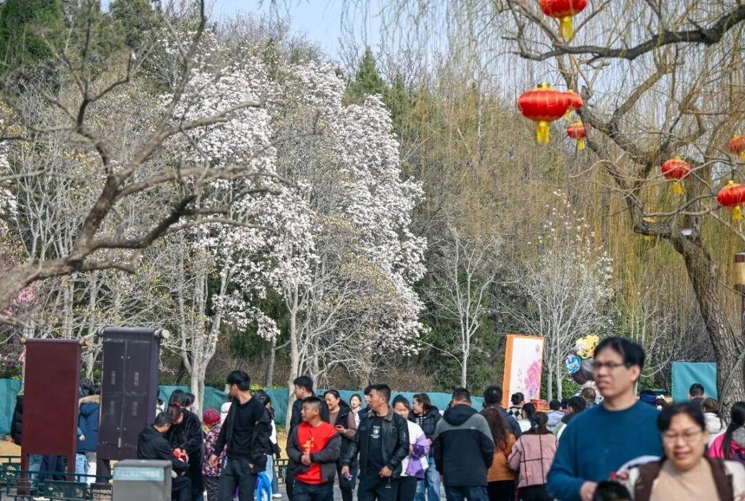 组图摄影:邵凯 2026年2月拍摄