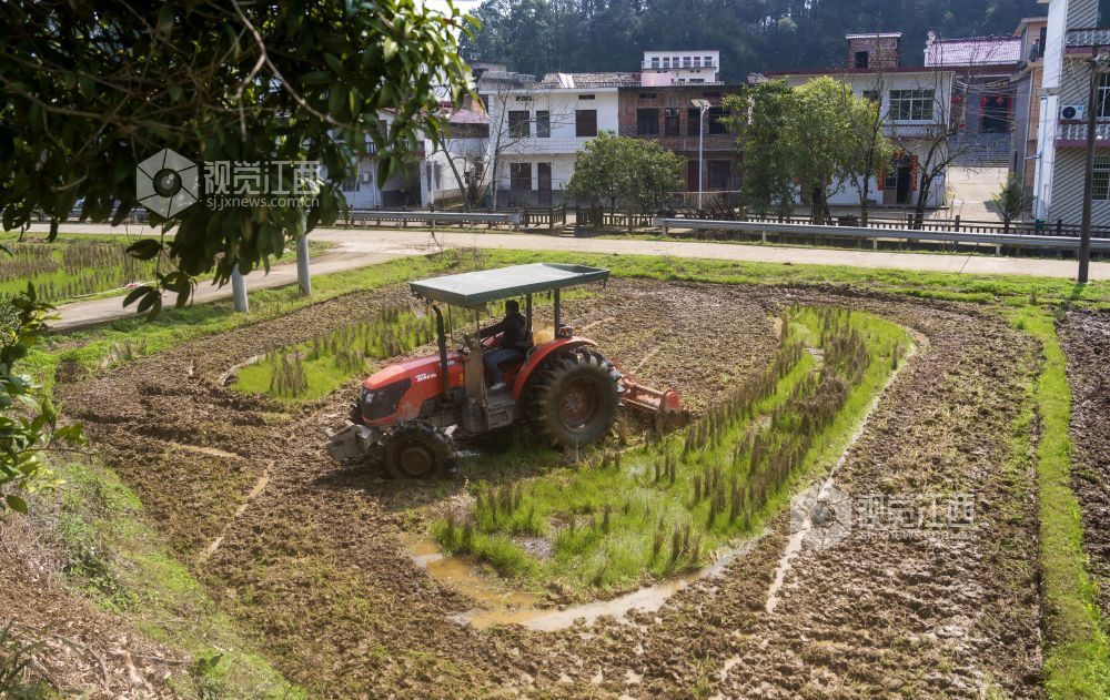 江西分宜：抢抓农时忙春耕（图）
