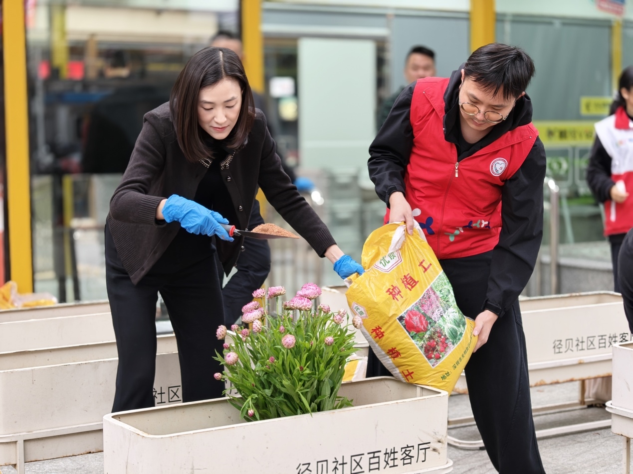 植绿添彩映初心——西乡街道径贝社区开展“爱绿植绿护绿兴绿”主题党日活动