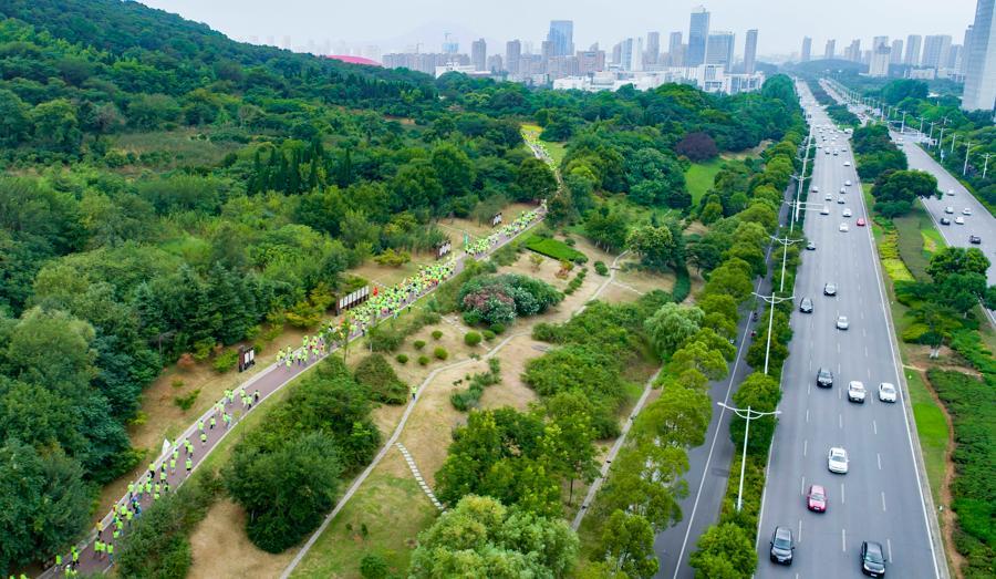 车水马龙的镇江。 | 谢道韫 摄