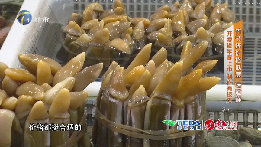 竹节蛏价格低廉 味道鲜 开凌梭早春上市 制作有技巧