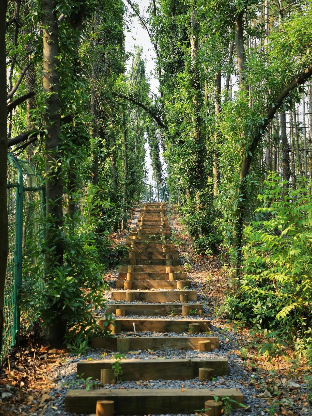 麓隐青竹湖：首个5A级墅区 引领长沙别墅进入“全生命周期”时代