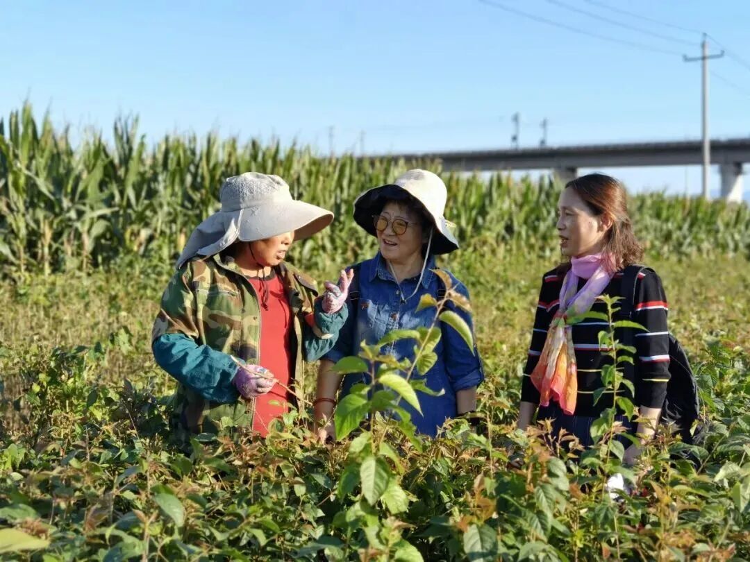 杨凌以科技之光温暖女性创业者逐梦征程