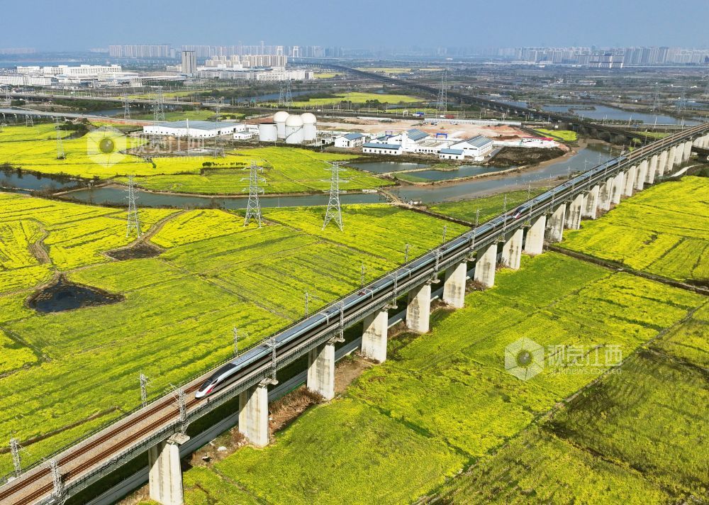 2026年3月12日,江西南昌县虎山村一带,昌福高铁沿线油菜花竞相绽放,一列复兴号动车组从油菜花田边驶过。