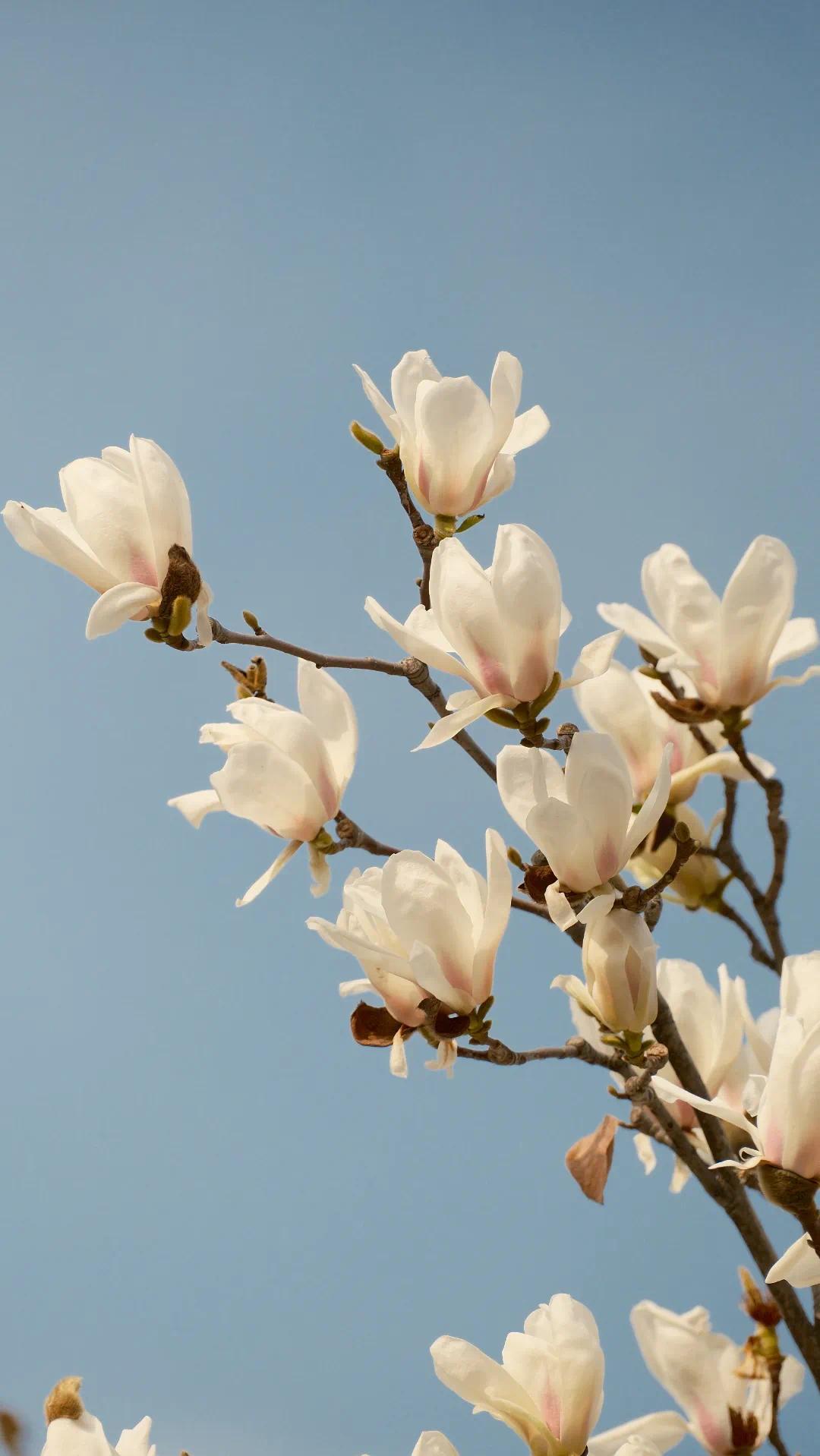 2026-03-03 154809.jpg