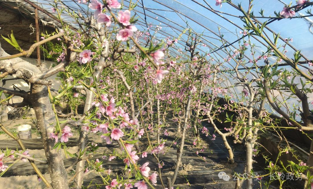 ����ʡ�����س����������ںϻ�