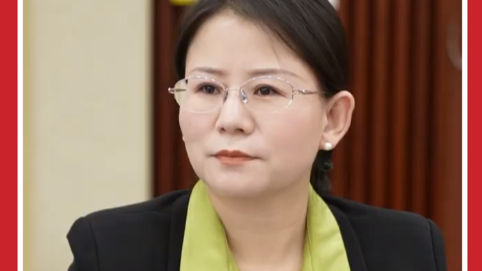 人大代表手机里藏着诊疗室　吁加强基层中医治未病体系