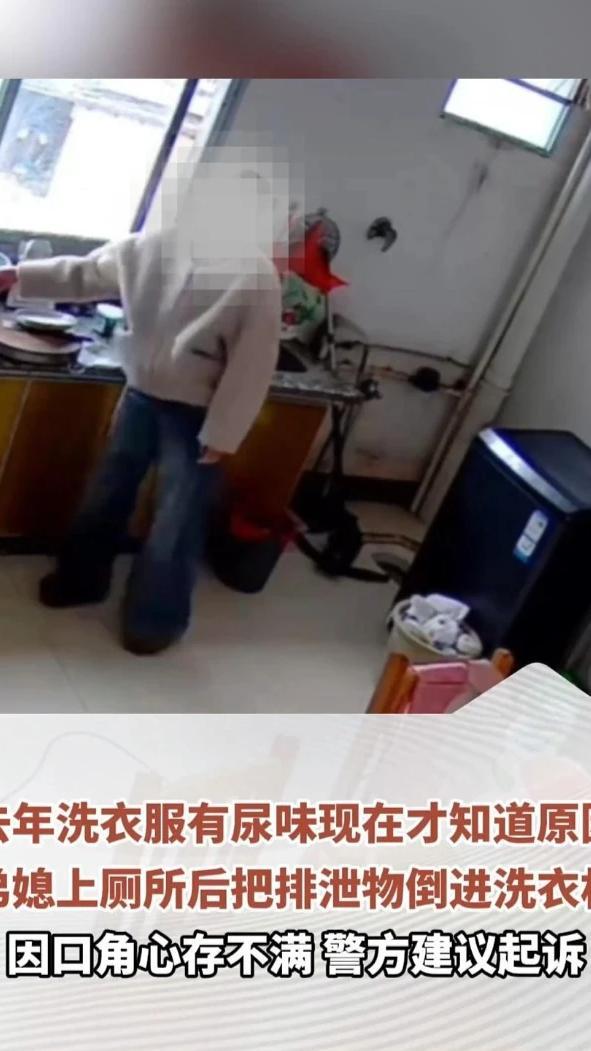 去年洗衣服有尿味现在才知道原因，弟媳上厕所后把排泄物倒进洗衣机，因口角心存不满，警方建议起诉