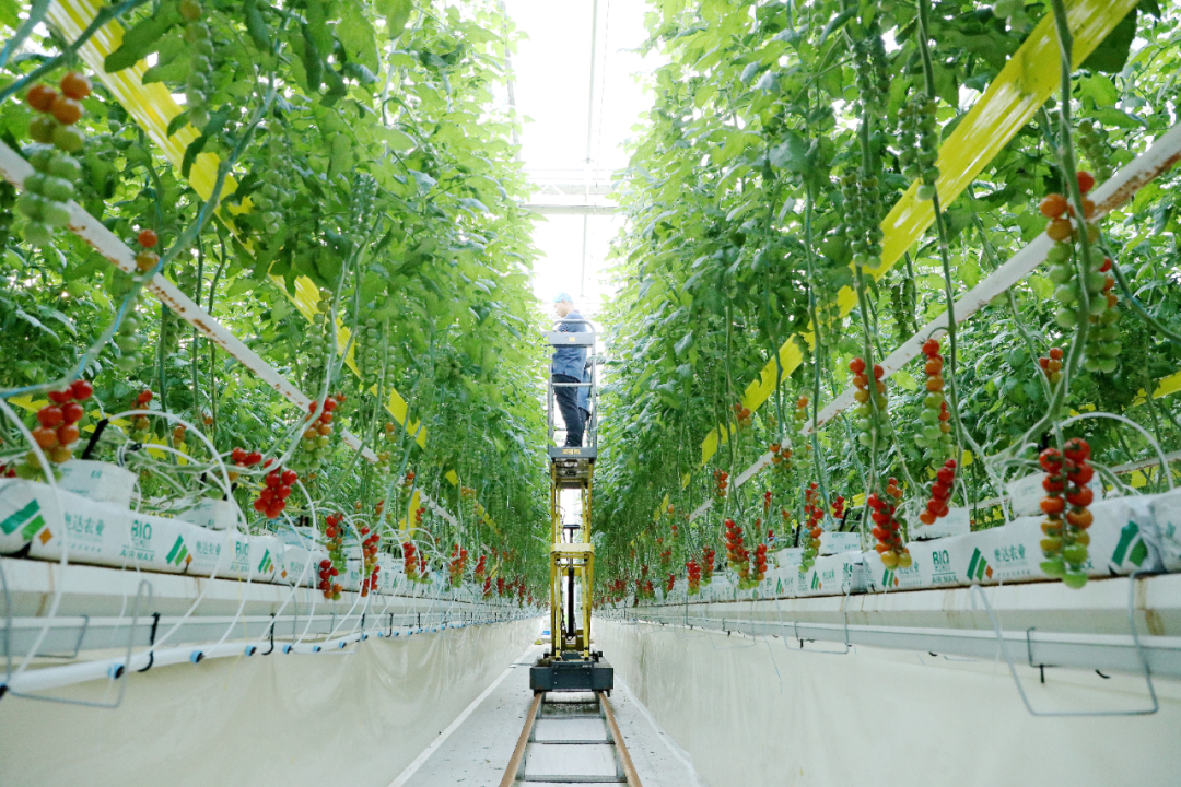 杨凌以科技之光温暖女性创业者逐梦征程