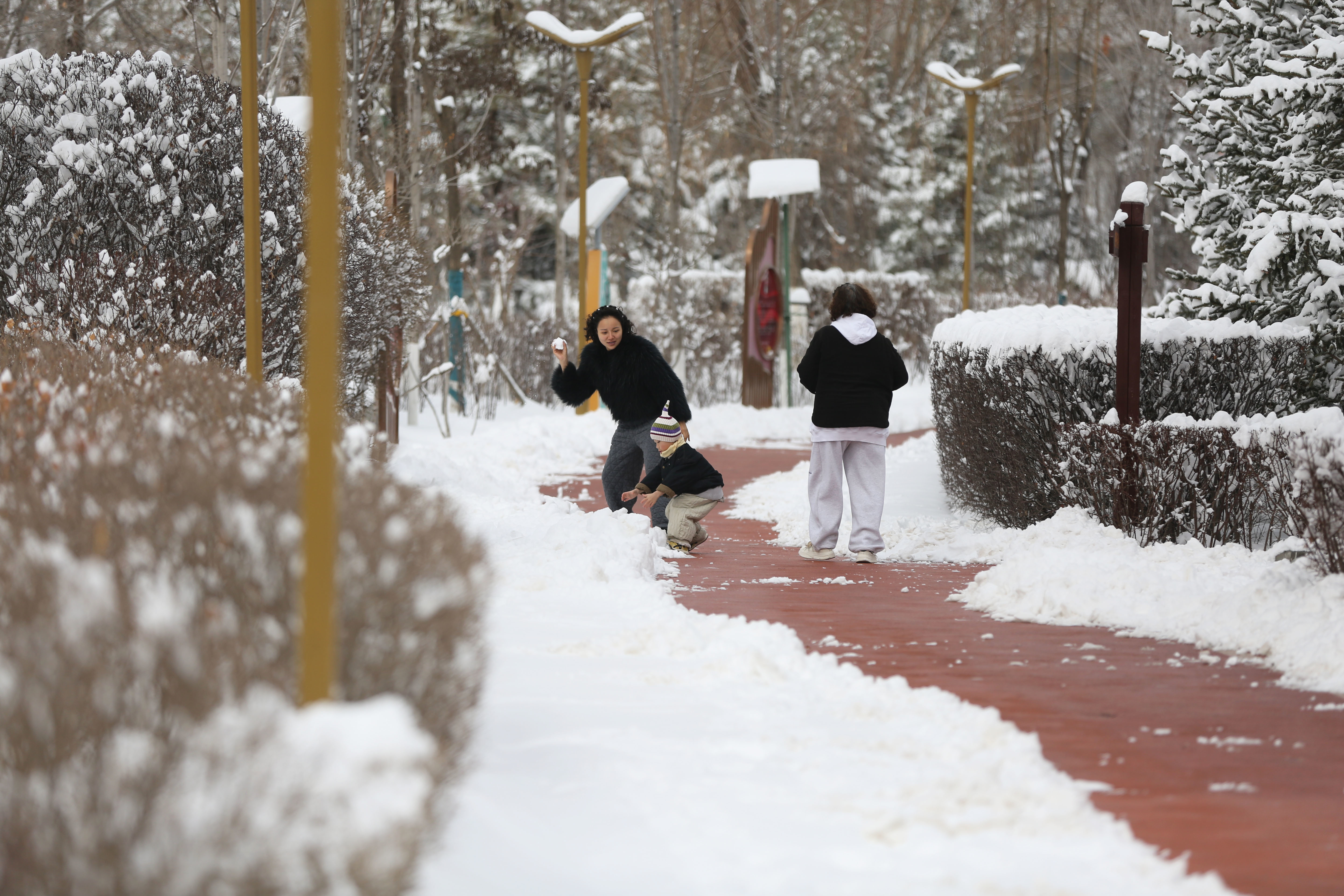 3月13日至14日，定西市出现大面积降雪天气。市民在公园雪地中嬉戏玩乐，享受冬日乐趣。新甘肃&middot;甘肃日报通讯员　王克贤