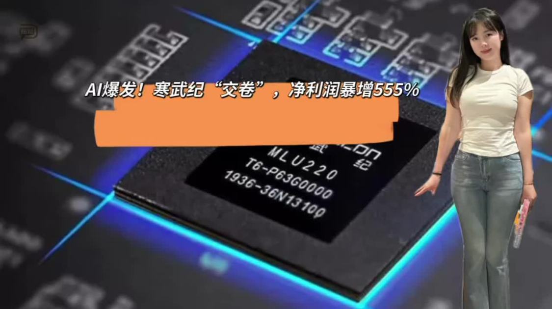 AI爆发，寒武纪“交卷”