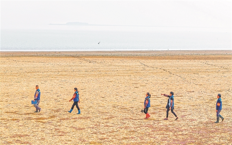 在鄱阳湖畔的都昌县西源乡塘口村，段庆县（右一）和巾帼护鸟队队员一起巡湖。
