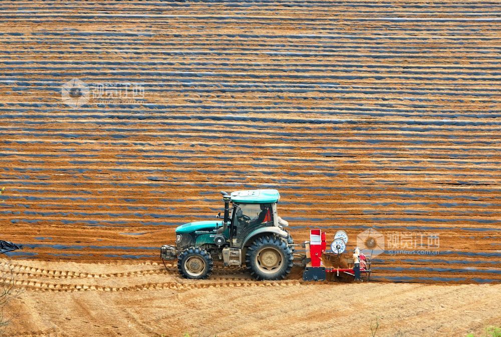 江西泰和：农机覆膜作业忙（图）