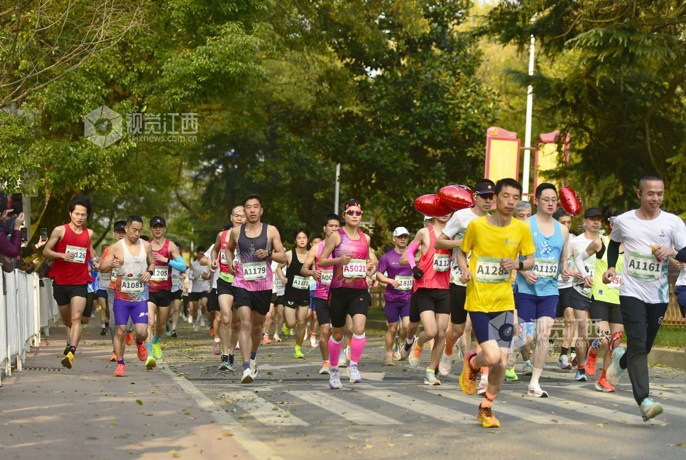 2026年3月15日，南昌首场半程马拉松在鲤鱼洲白鹤小镇鸣枪开跑。