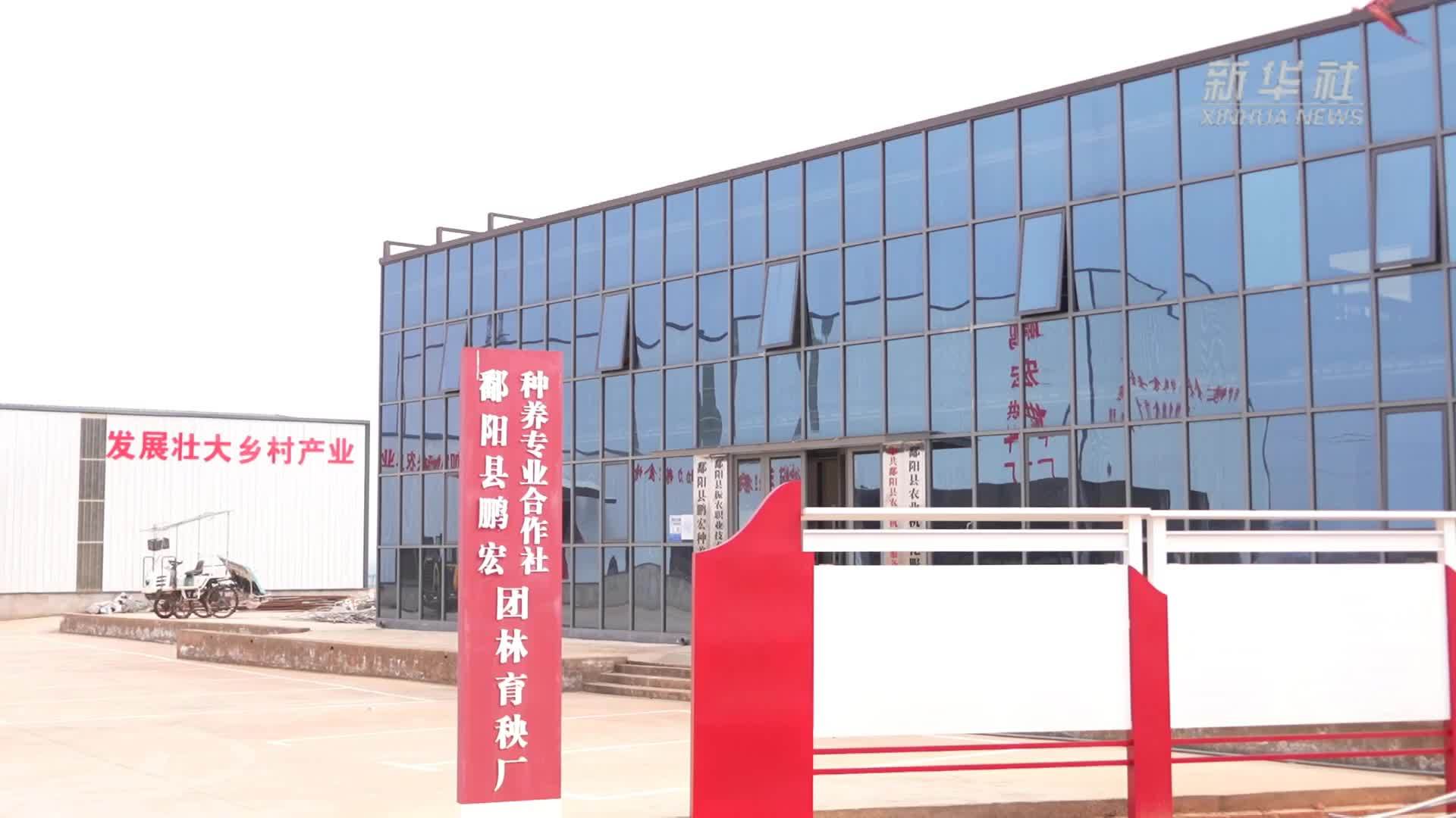 江西鄱阳：开启春耕“加速度”