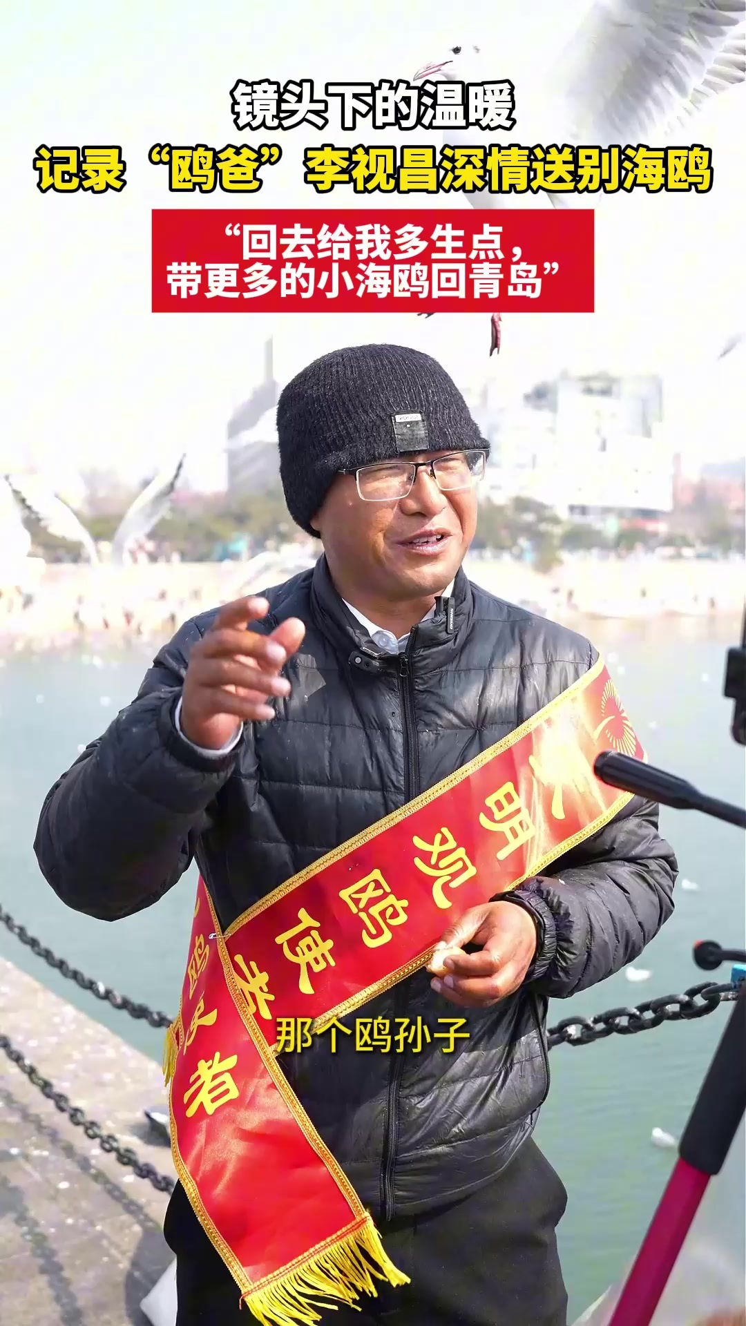 凤凰视频|镜头下的温暖：记录“鸥爸”李视昌深情送别海鸥