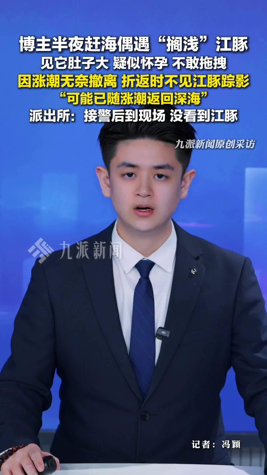 博主半夜赶海偶遇搁浅江豚：见它肚子大，疑似怀孕，不敢拖拽