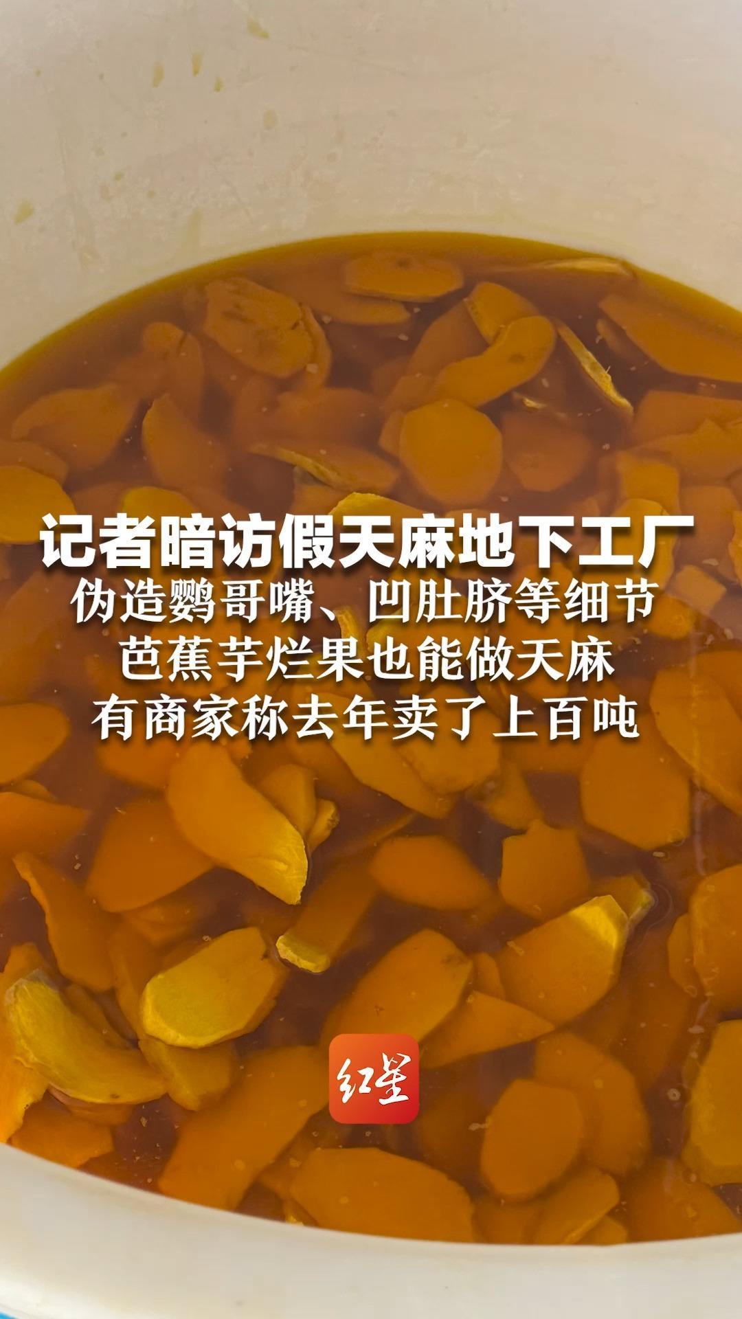 记者暗访假天麻地下工厂 伪造鹦哥嘴、凹肚脐等细节 芭蕉芋烂果也能做天麻 有商家称去年卖了上百吨