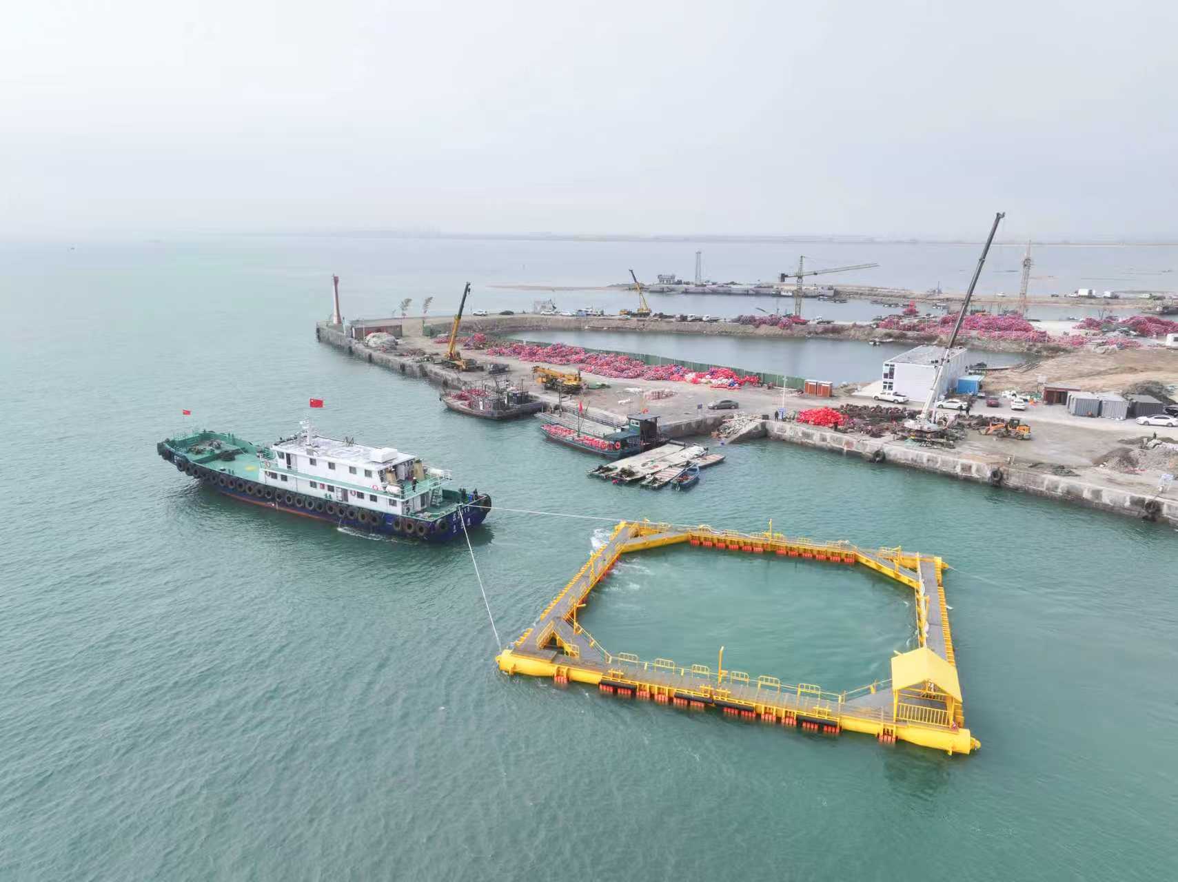 重新定义“海”的价值：赣榆如何锻造“蓝色引擎”？