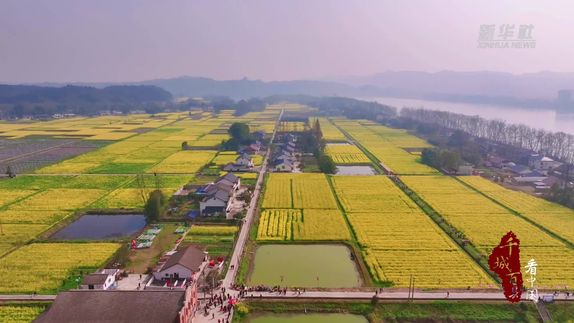 千城百县看中国·赏花季丨湖南常德：去白麟洲 赴一场踏青大会