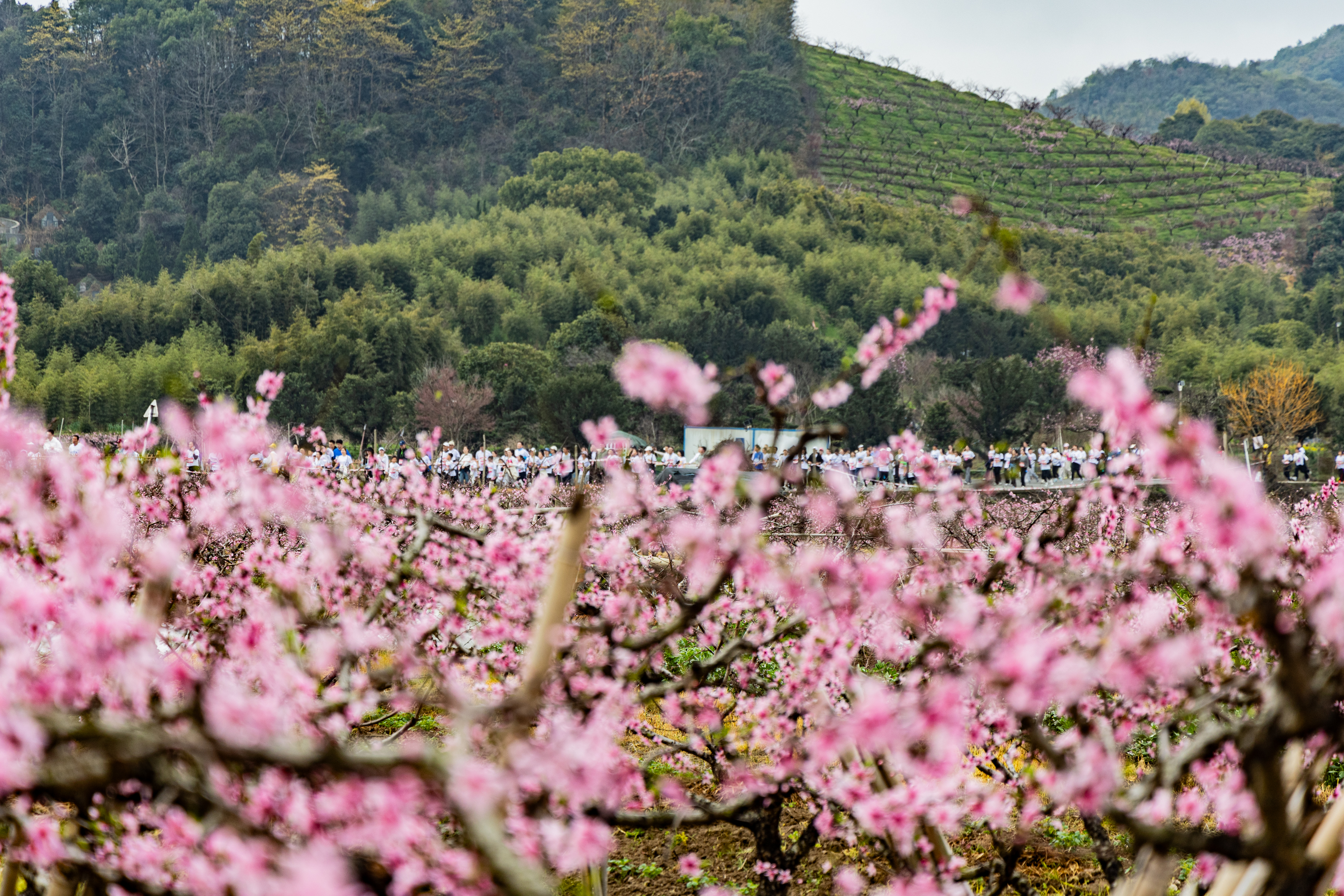 2026海峽兩岸(寧波)樂跑嘉年華歡樂開跑!